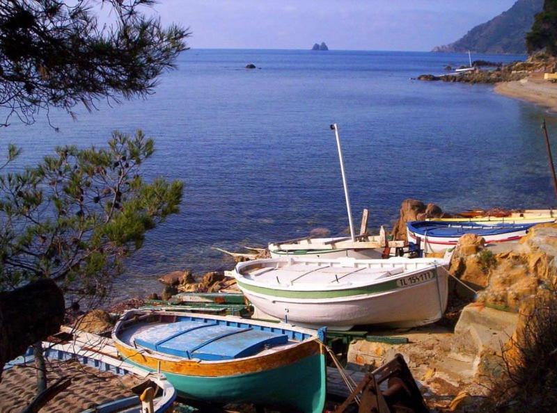Chambre Et Salle De Bain Independantes A 200M De La Plage De Fabregas La Seyne-sur-Mer Εξωτερικό φωτογραφία