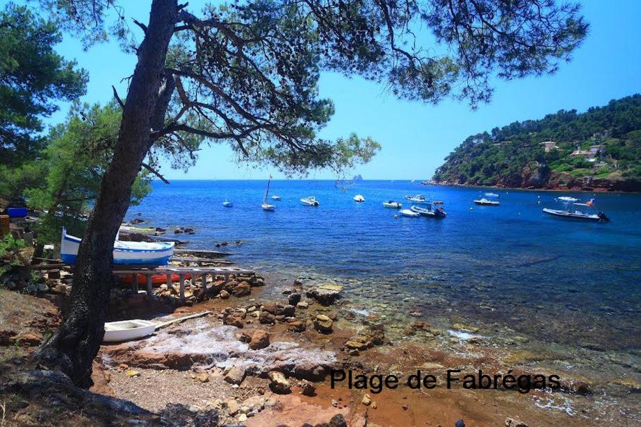 Chambre Et Salle De Bain Independantes A 200M De La Plage De Fabregas La Seyne-sur-Mer Εξωτερικό φωτογραφία