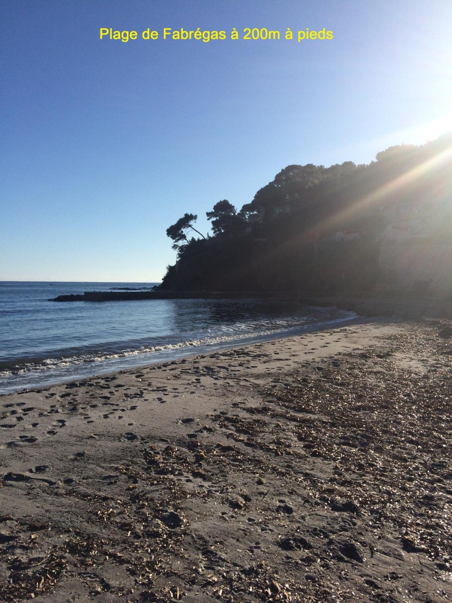 Chambre Et Salle De Bain Independantes A 200M De La Plage De Fabregas La Seyne-sur-Mer Εξωτερικό φωτογραφία